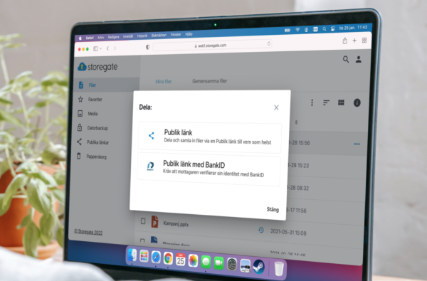 Dela filer med Storegate